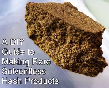 How to Make Rare Solventless Hash Products - A DIY Guide