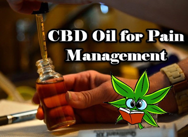 CBD Oil for Pain Management