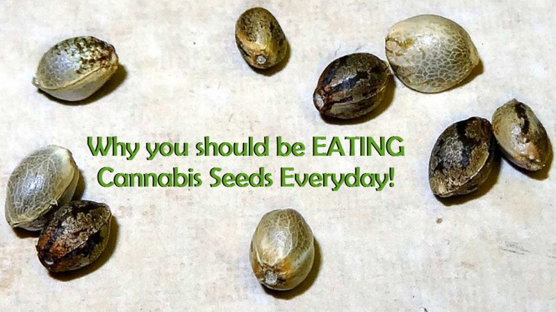eat cannabis seeds