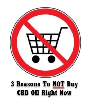 CBD Oil - 3 Reasons You Should Not Buy It Right Now
