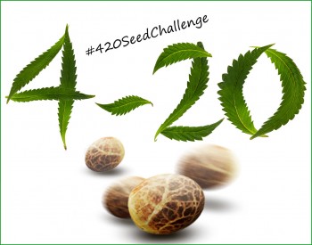 The 420 Plant-a-Seed-a-Thon Challenge #420SeedChallenge