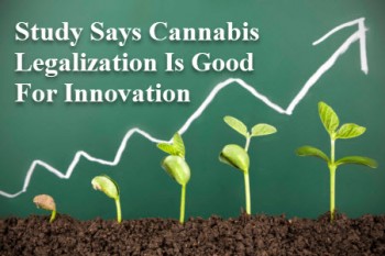 Study Says Cannabis Legalization Is Good For Innovation