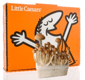 The Story of Little Caesar Shane - Shrooms, a Serial Killer, and Little Caesars on a Friday Night