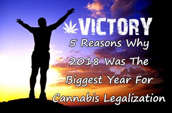 5 Reasons Why 2018 Was The Biggest Year For Cannabis Legalization