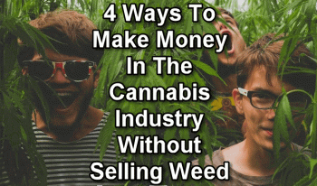 4 Ways To Make Money In The Cannabis Industry Without Selling Weed
