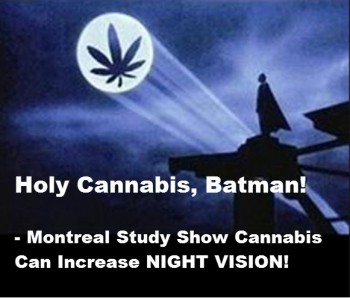 Cannabis Can Help You See In The Dark, Batman!
