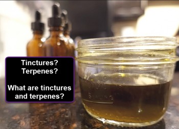 Tinctures?  Terpenes?  What Are Tinctures and Terpenes?