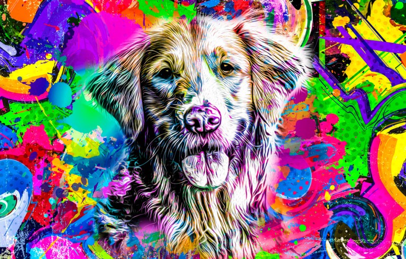 psychedelics for dogs