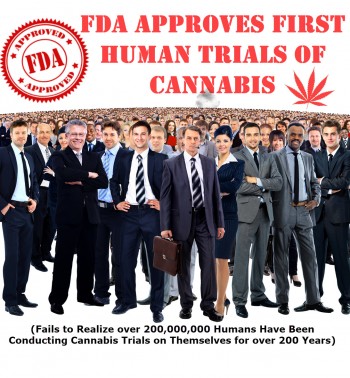 FDA Approves First Human Trials with Cannabis (Fails to Realize 200,000,000 Humans Currently Use Cannabis)