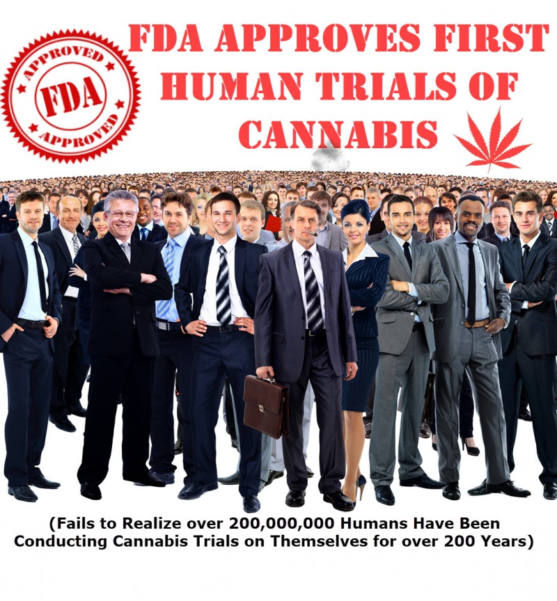 fda approves cannabis trials
