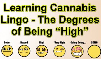 Learning Cannabis Lingo – The Degrees of Being “High”
