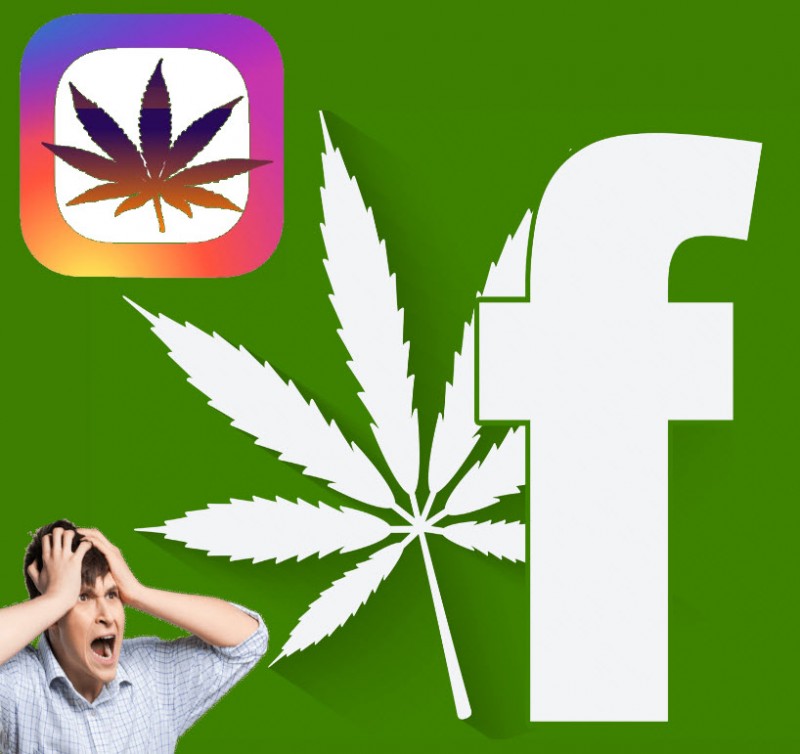 Facebook and Instagram on Marijuana