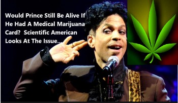 Would Prince Be Alive Today If He Had Medical Marijuana?