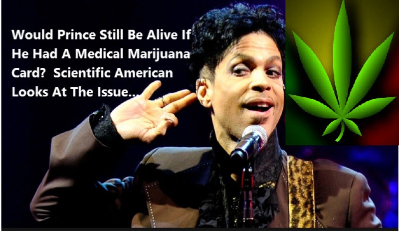 prince marijuana cannabis