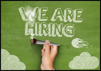 Cannabis Job Market Going Strong Despite Lockdowns and COVID-19 Social Distancing