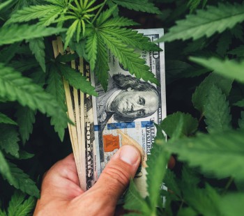 $100, $200, or $500 an Ounce? What Does Cannabis Cost in Different Countries Around the World?