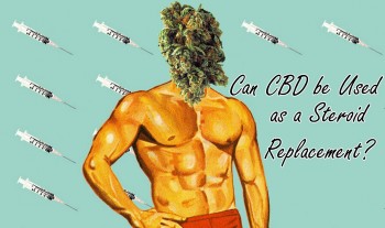 Could CBD be Used as a Steroid Replacement?