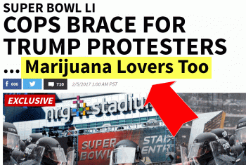Cannabis Super Bowl Cancelled - Do Not Bring Your Marijuana Here