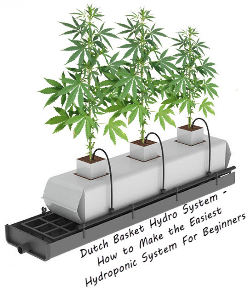 Dutch Basket Hydro System How To Make The Easiest Hydroponic System