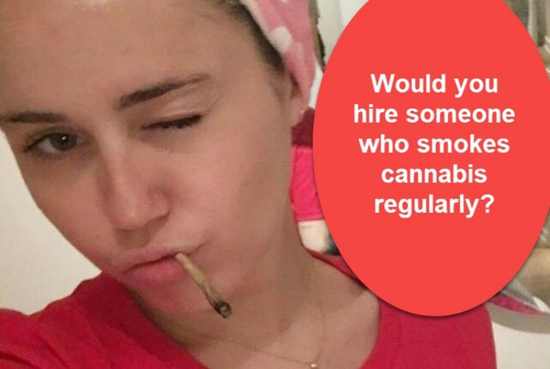 hiring a cannabis user