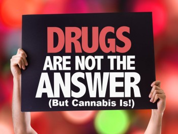What It Means to Be Cannabis Sober - Addiction Breaker or Just Another Substitute Drug?