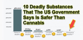 10 Deadly Substances That The US Government Says Is Safer Than Cannabis