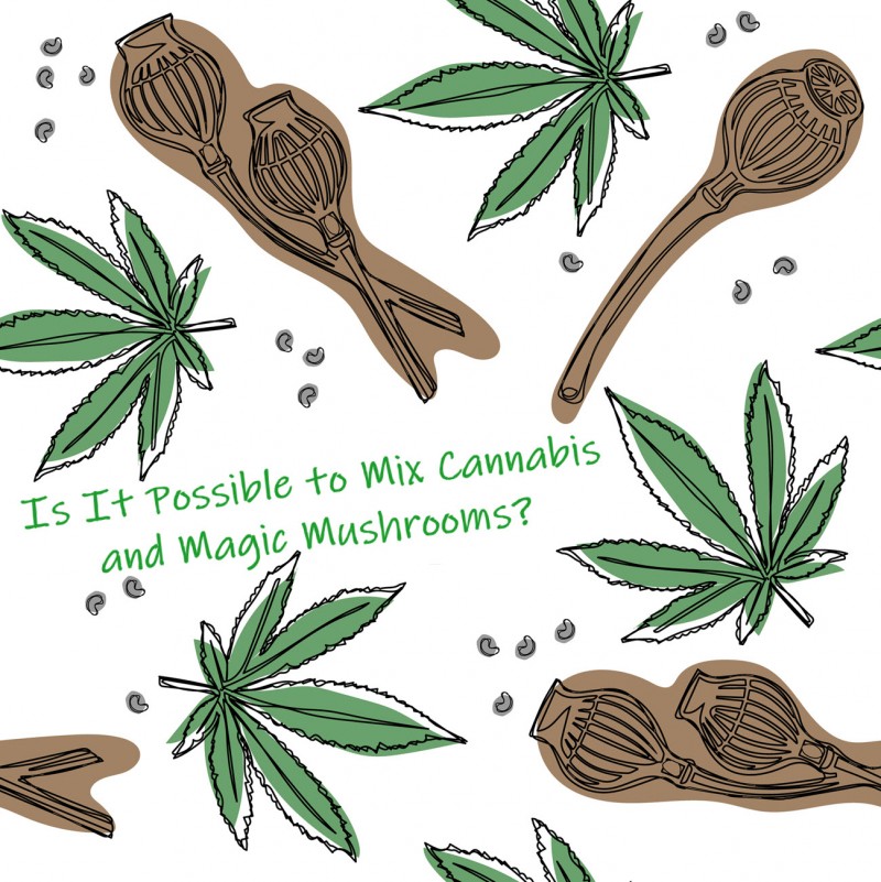 marijuana with mushrooms