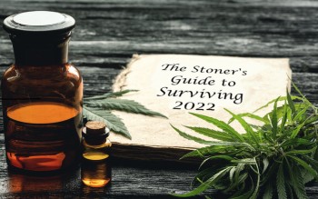The Stoner's Guide to Surviving 2022