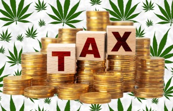 Marijuana Taxes in One City Created over $20 Million for Homeless Services, Affordable Housing, Education, and Police Funding