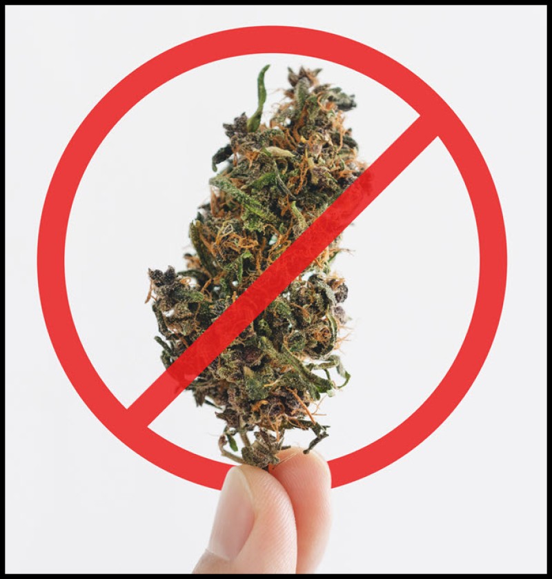 No cannabis amendments