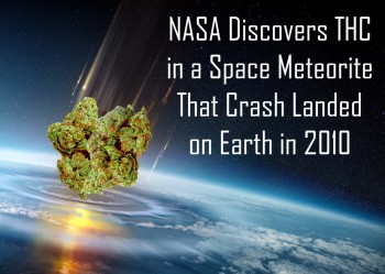 NASA Discovers THC in a Space Meteorite that Crashed Landed on Earth in 2010