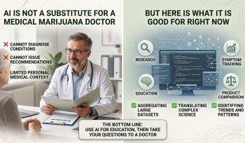 Can AI Replace Your Medical Marijuana Doctor? - No, But Here is What It Can Do Right Now