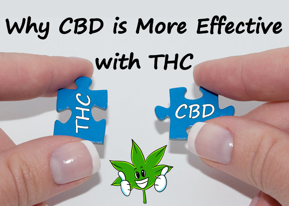 why-cbd-is-much-more-effective-when-you-add-some-thc-with-it