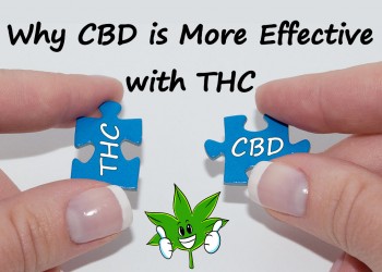 Why CBD is Much More Effective When You Add Some THC With It