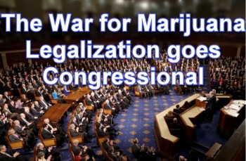 The War for Marijuana Legalization goes Congressional