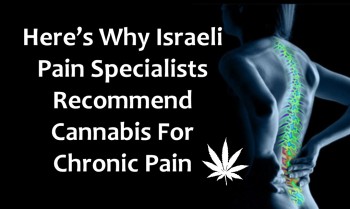 Here’s Why Israeli Pain Specialists Recommend Cannabis For Chronic Pain