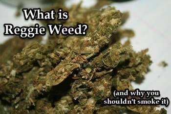 What Is Reggie Weed And Why You Shouldn’t Smoke It