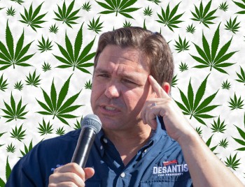 Will Gov. Desantis' Weed 'Strategery' Work on the Florida Pot Industry? - Keep Hemp to Infuriate the Marijuana Companies?