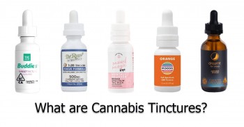 What You Need To Know About Sublingual Cannabis Dosing