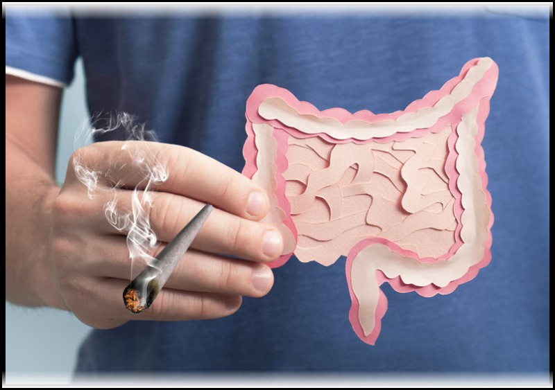 cannabis for digestive disorders