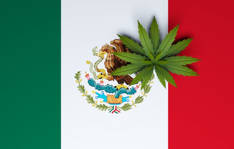 Mexico legalization and cartels