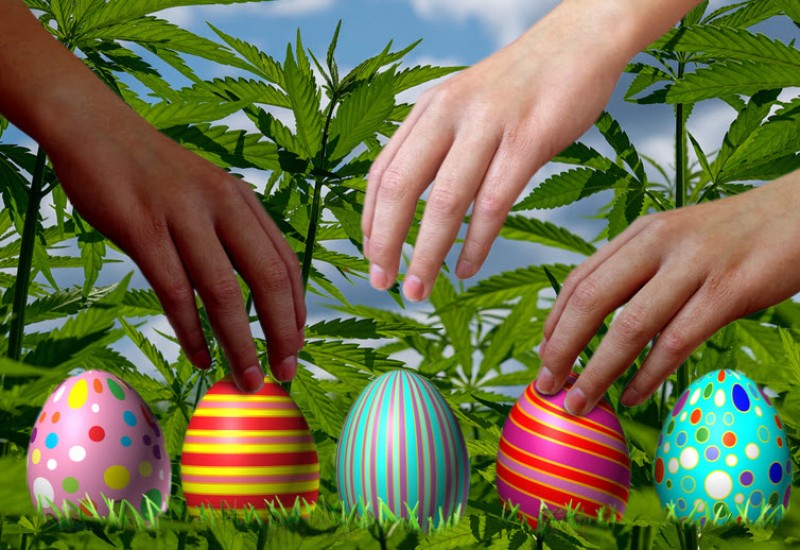 cannabis easter egg hunt