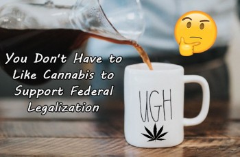 You Don't Have to Like Cannabis to Support Federal Legalization