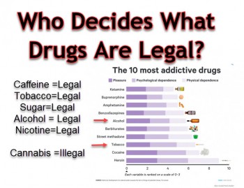 Who Decides What Drugs Are Legal and What Drugs Are Illegal?