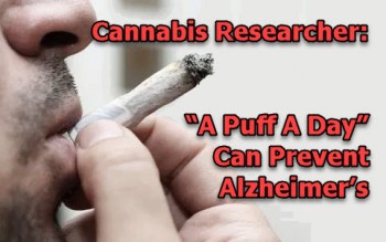 Cannabis Researcher Says “A Puff A Day” Can Prevent Alzheimer’s