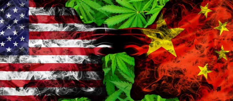 China running illegal marijuana grows in the USA