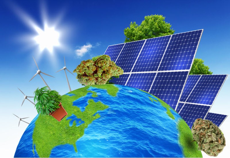 solar powered cannabis growing