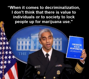 Sorry Surgeon General - There is Value in Locking People Up for Marijuana Use, Just Ask the Senate
