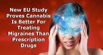 New EU Study Proves Cannabis Is Better For Treating Migraines Than Prescription Drugs