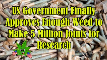 US Government Finally Approves Enough Weed to Make 5 Million Joints for Research